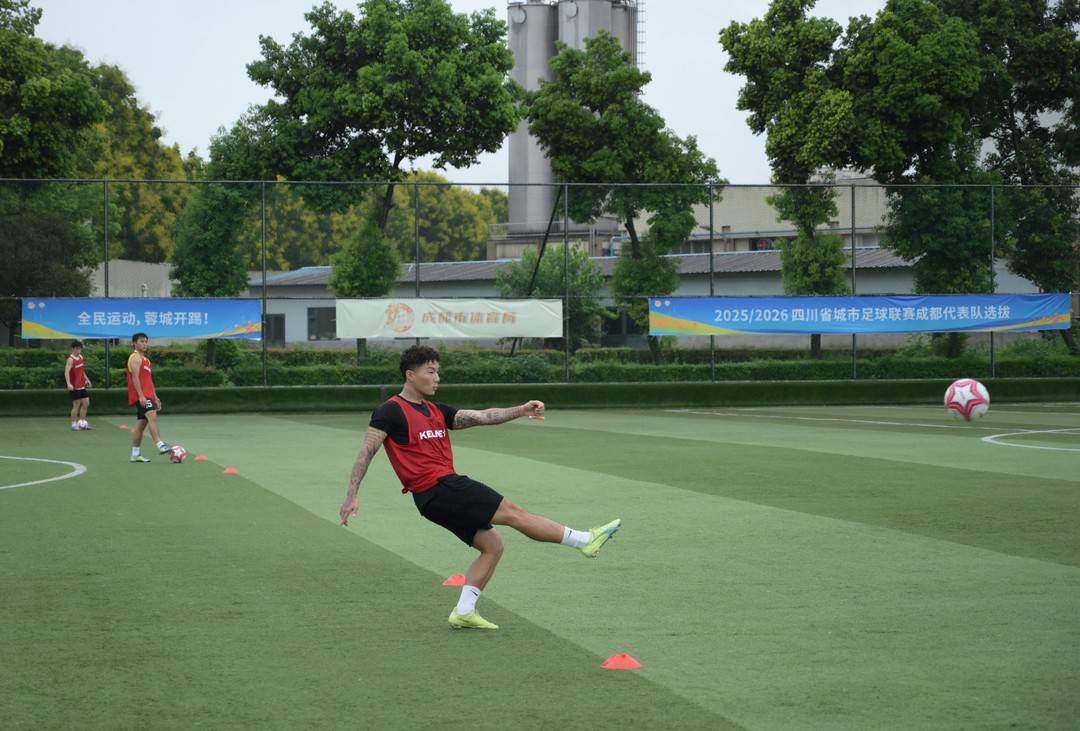 沈照林曾任
