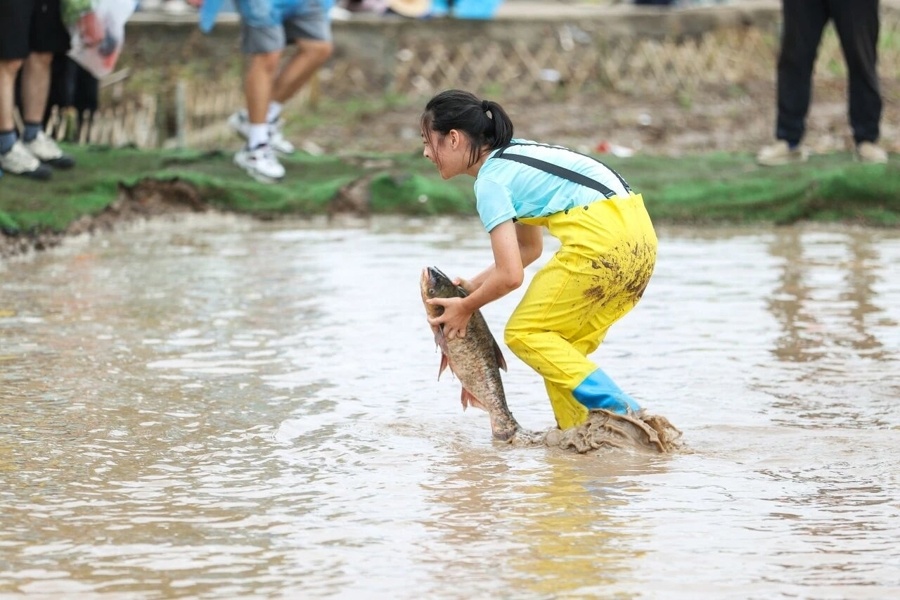 还通过社会, Af, 多市民走进 还通过社会, Af, 多市民走进